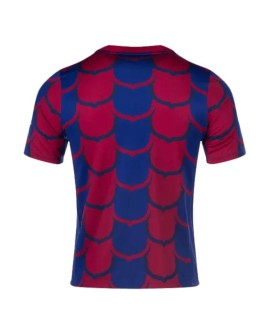 Barcelona Training Jersey 2023/24 Pre-Match Red&Blue