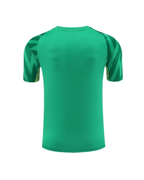 Manchester City Goalkeeper Jersey 2023/24 Green