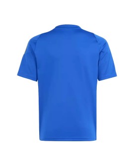 Messi Argentina Pitch 2 Street Training Jersey 2024 - Blue