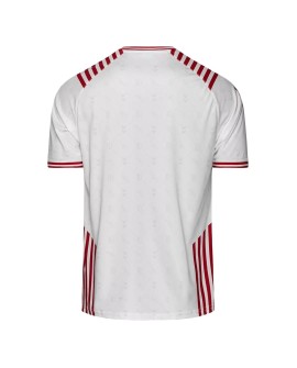 Denmark Jersey 2022 Hummel