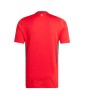 Wales Home Jersey EURO 2024