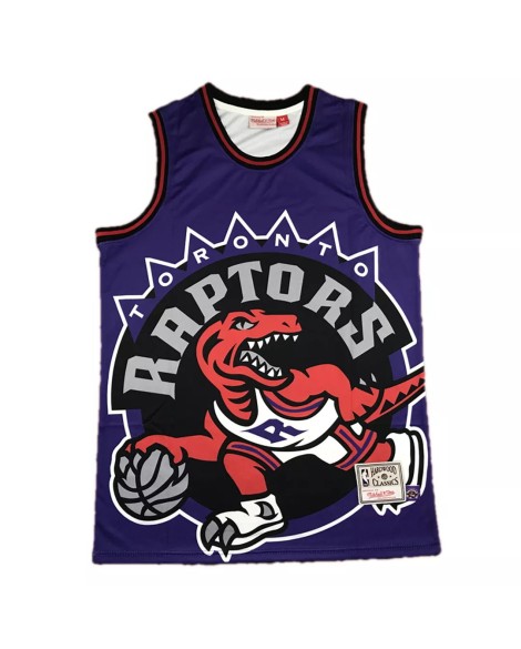 Men's Toronto Raptors Vince Carter #15 Mitchell & Ness Purple Hardwood Classics Jersey